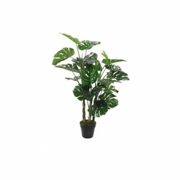 Plante artificielle Monstera disponible à la location pour vos décorations d'événements proche de Lyon