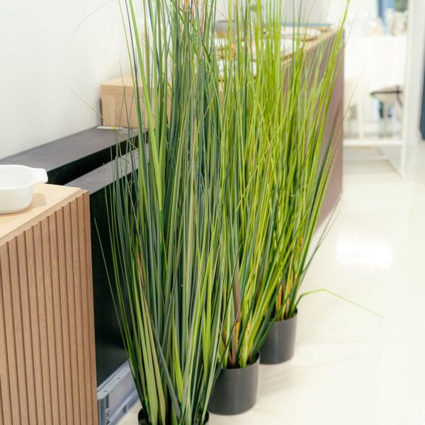 Roseaux artificiels disponibles à la location proche de Lyon